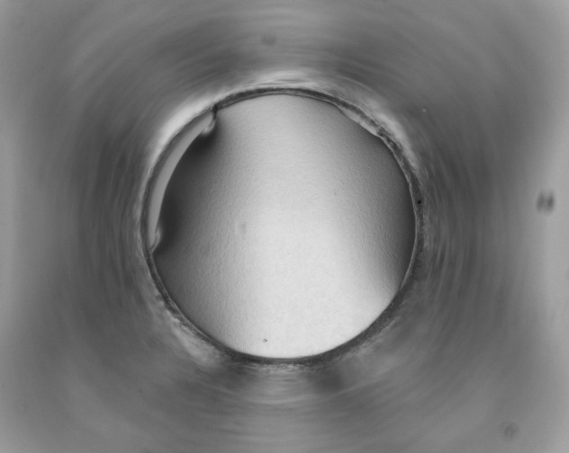 X0000091581328200709101010