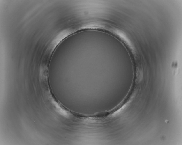 X0000091581329200709101010