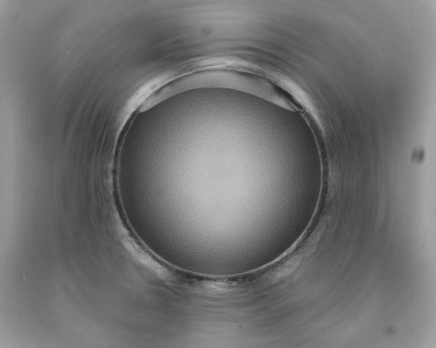 X0000091581330200709101010