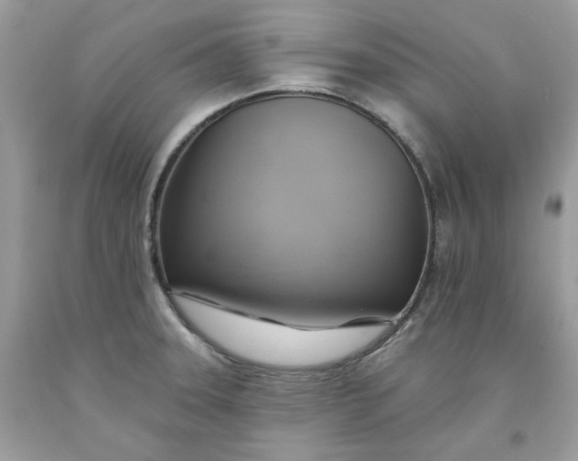 X0000091581331200709101010