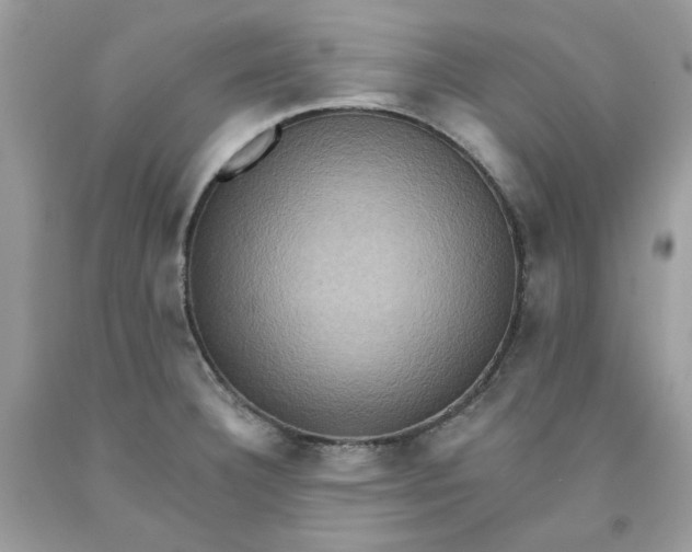 X0000091581332200709101010