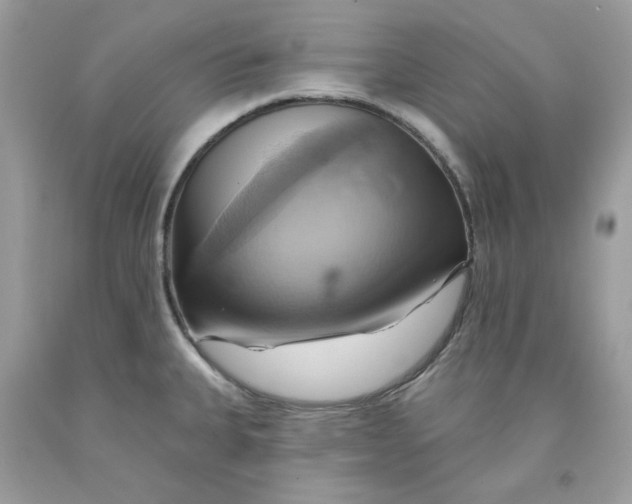 X0000091581335200709101010