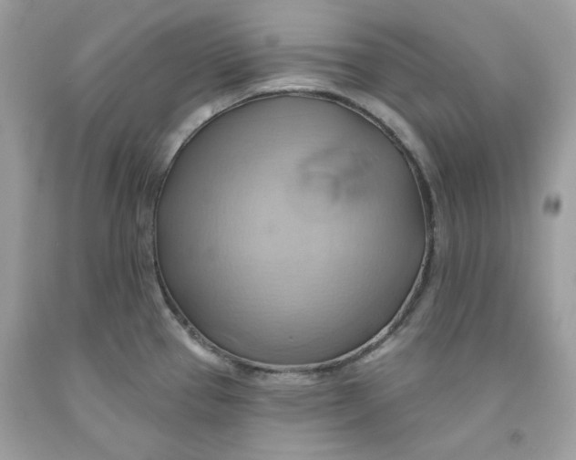 X0000091581337200709101010