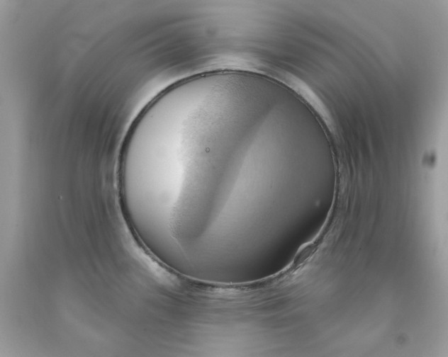 X0000091581339200709101010