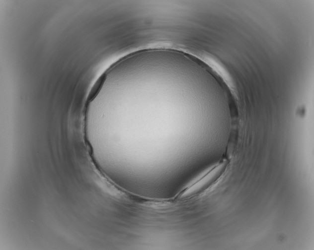 X0000091581340200709101010