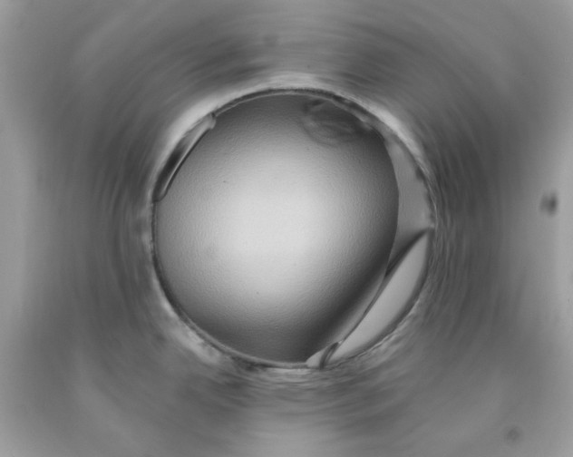 X0000091581342200709101010