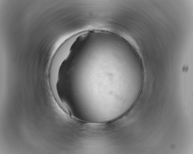 X0000091581344200709101010