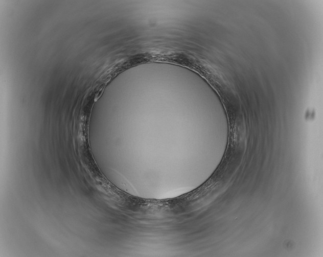 X0000091581346200709101009