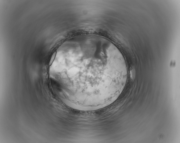 X0000091581347200709101009