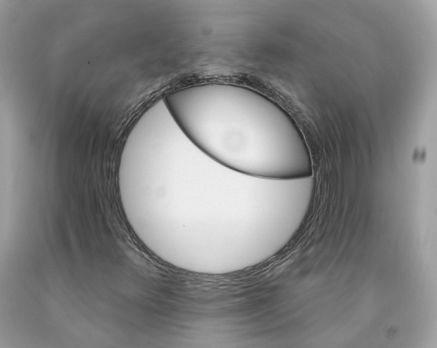 X0000091581348200709101009