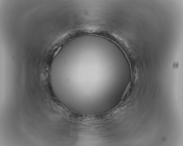 X0000091581349200709101009