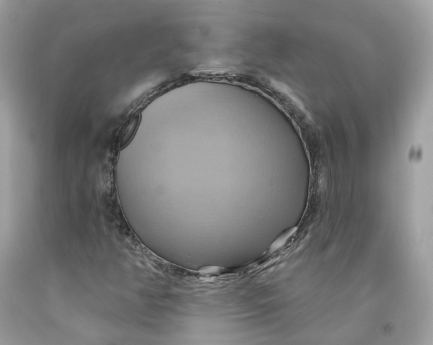 X0000091581350200709101009