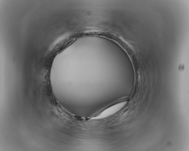 X0000091581351200709101009