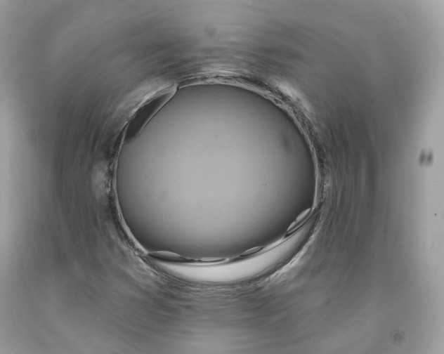 X0000091581353200709101009