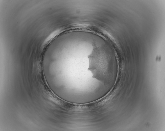 X0000091581354200709101009