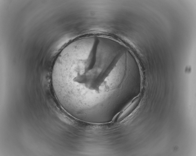 X0000091581355200709101009