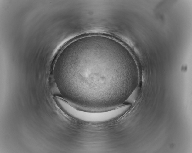 X0000091581356200709101009