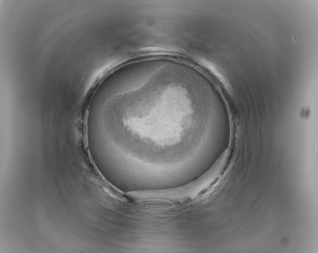 X0000091581357200709101009