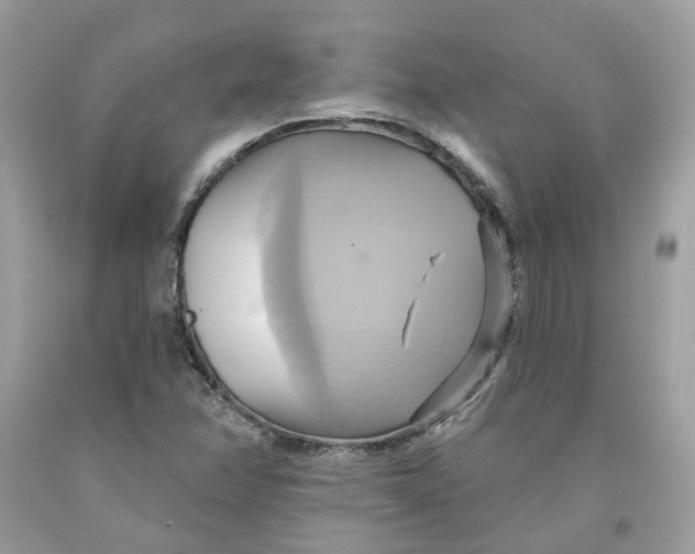 X0000091581358200709101009