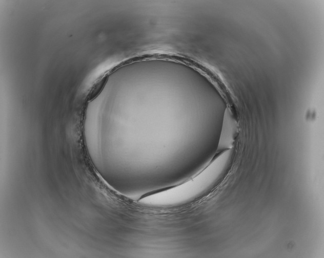 X0000091581359200709101009