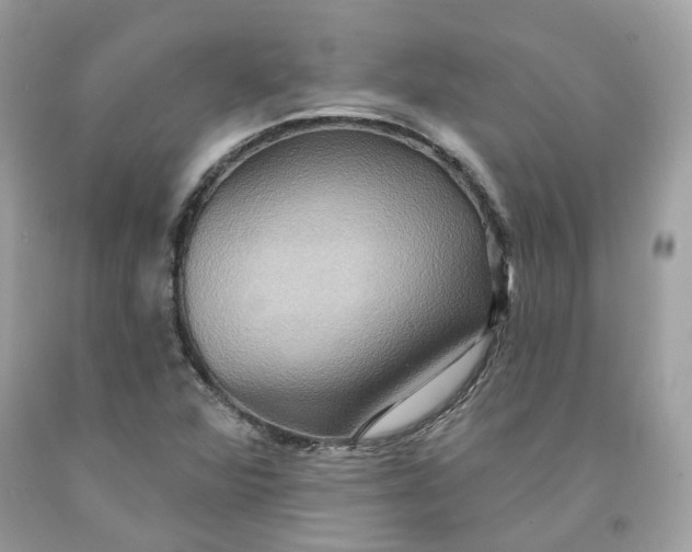 X0000091581360200709101009