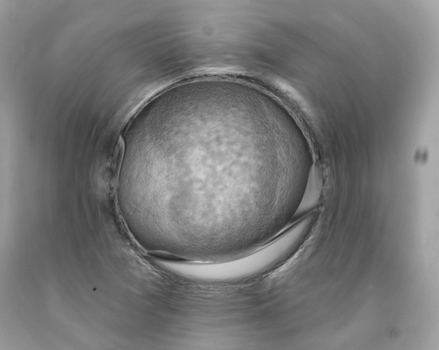 X0000091581361200709101009