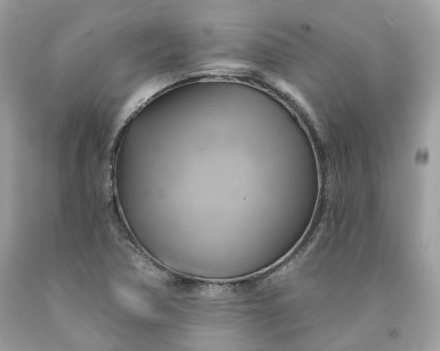 X0000091581362200709101009