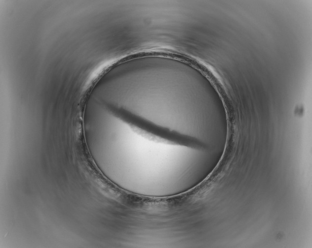 X0000091581363200709101009