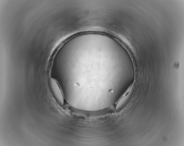 X0000091581364200709101009