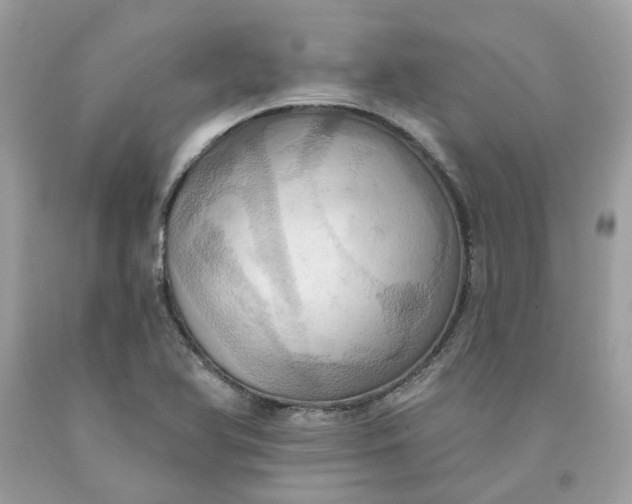 X0000091581366200709101009