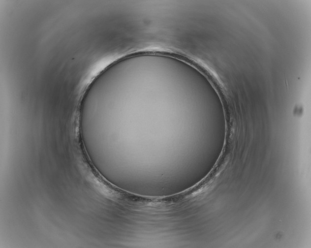 X0000091581367200709101009