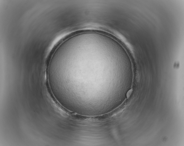 X0000091581368200709101009