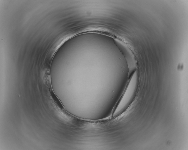 X0000091581369200709101009