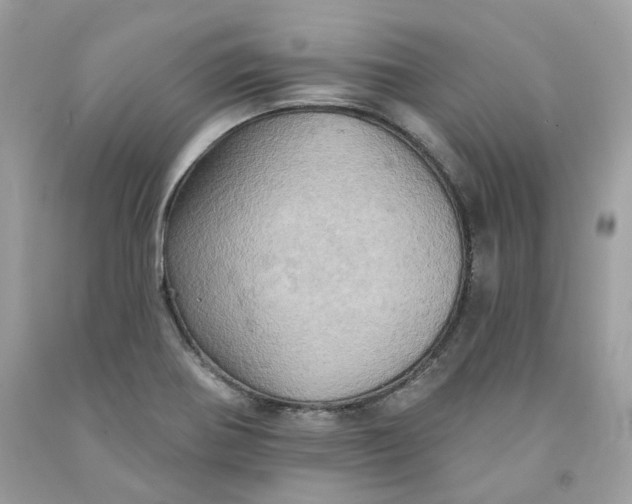 X0000091581370200709101009