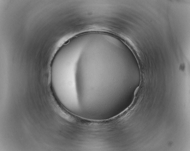 X0000091581371200709101009