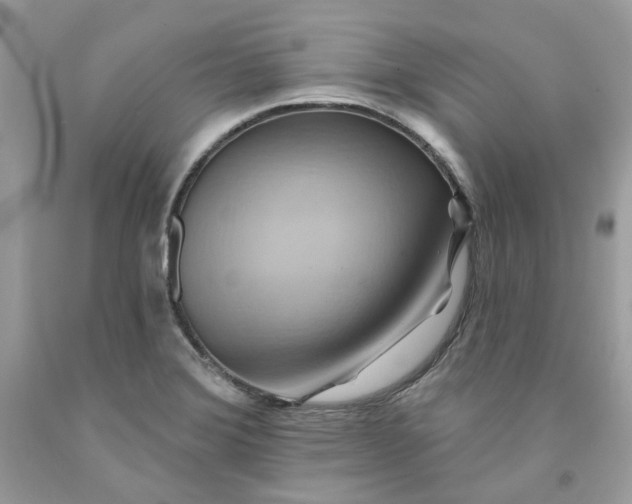 X0000091581372200709101009