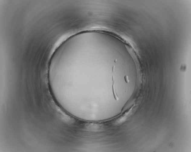 X0000091581374200709101009