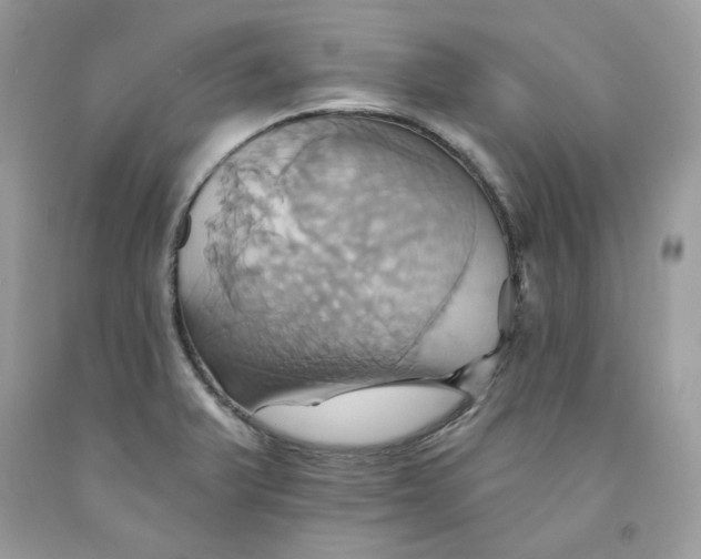 X0000091581375200709101009