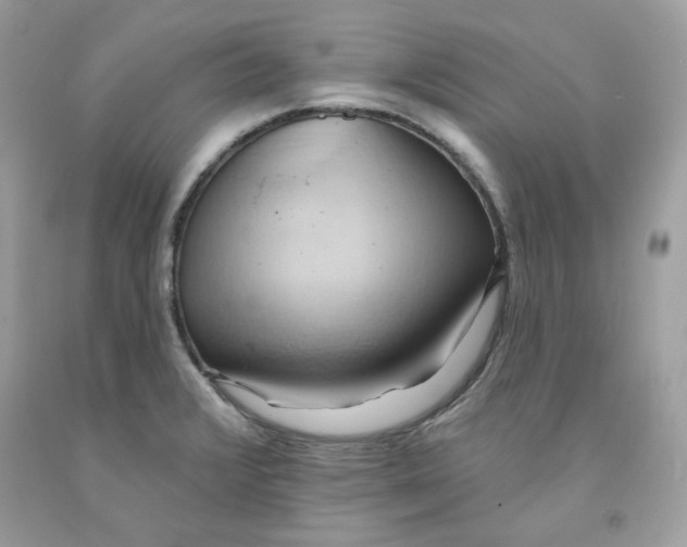 X0000091581376200709101009