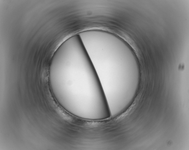 X0000091581377200709101009