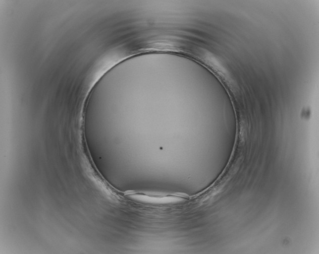 X0000091581378200709101009