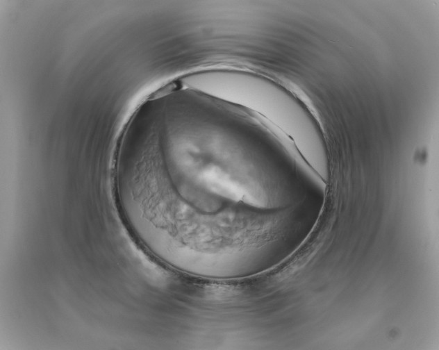 X0000091581379200709101009