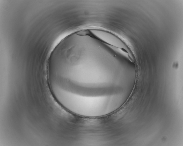 X0000091581382200709101009