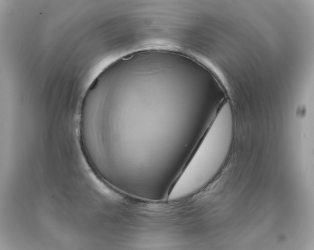 X0000091581383200709101009