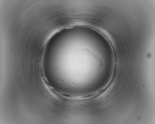 X0000091581385200709101009