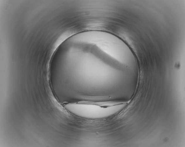 X0000091581386200709101009