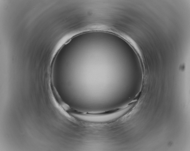 X0000091581389200709101009