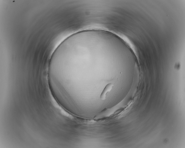 X0000091581390200709101009