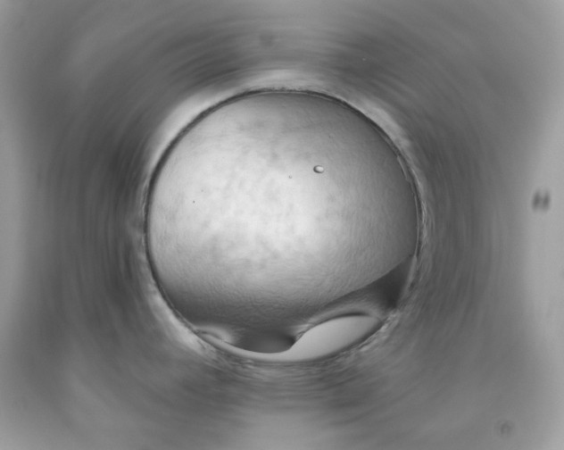 X0000091581392200709101009