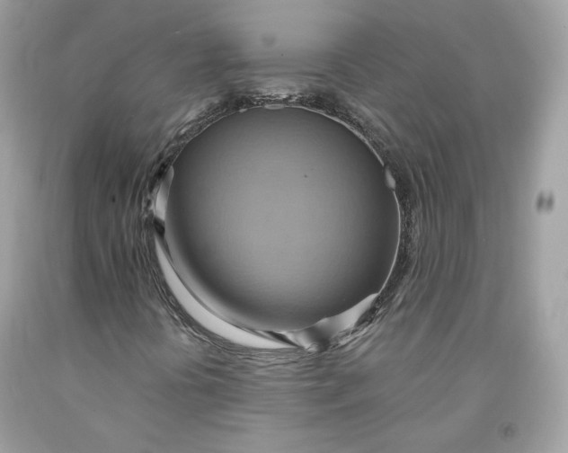 X0000091581394200709101008